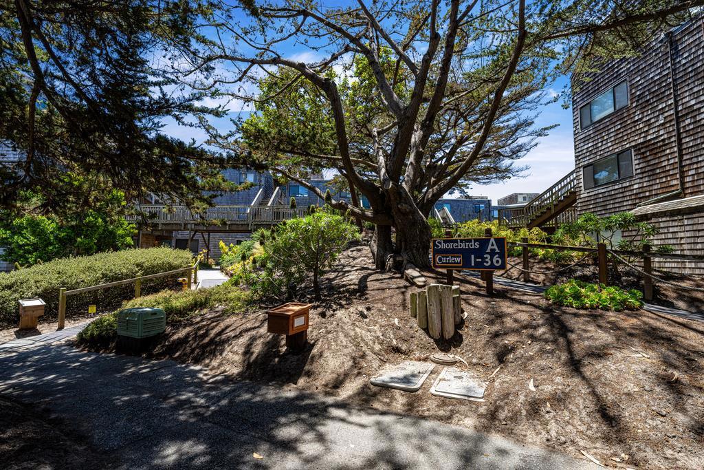 101 Shell Drive 3, Watsonville