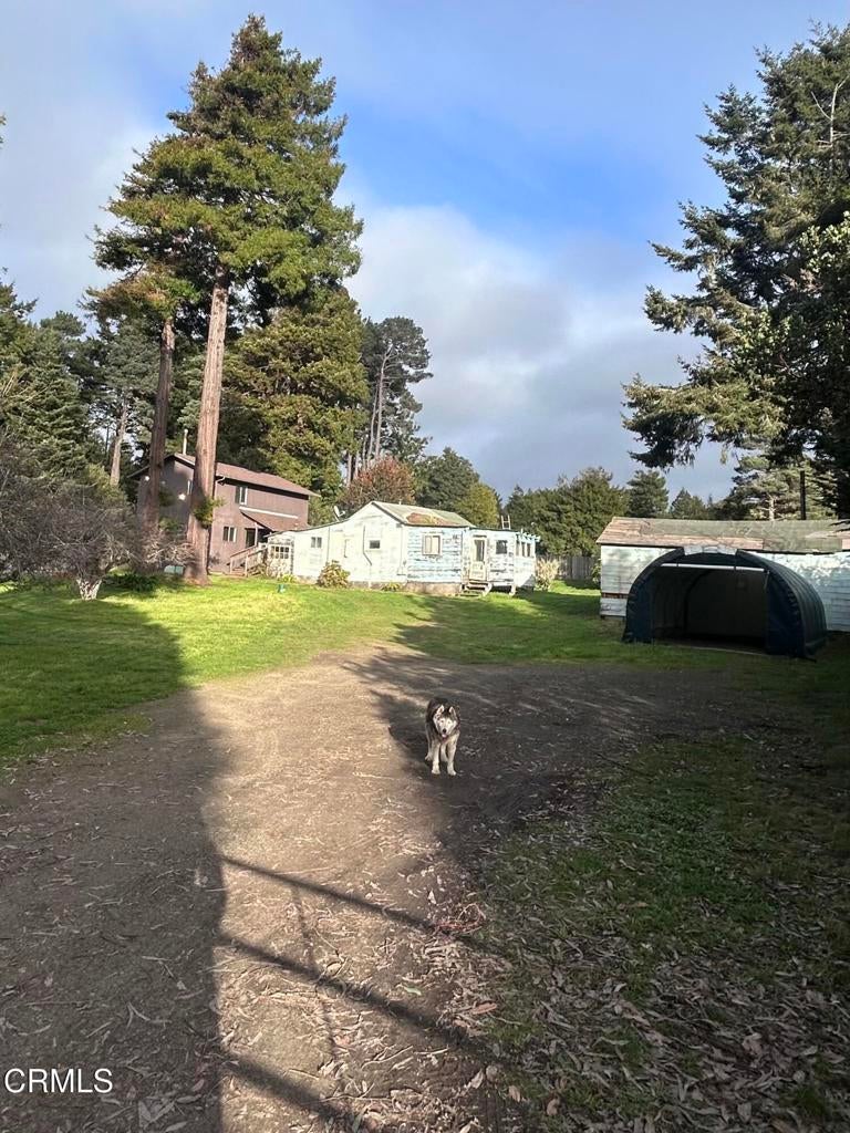 Photo of Listing #C1-11257