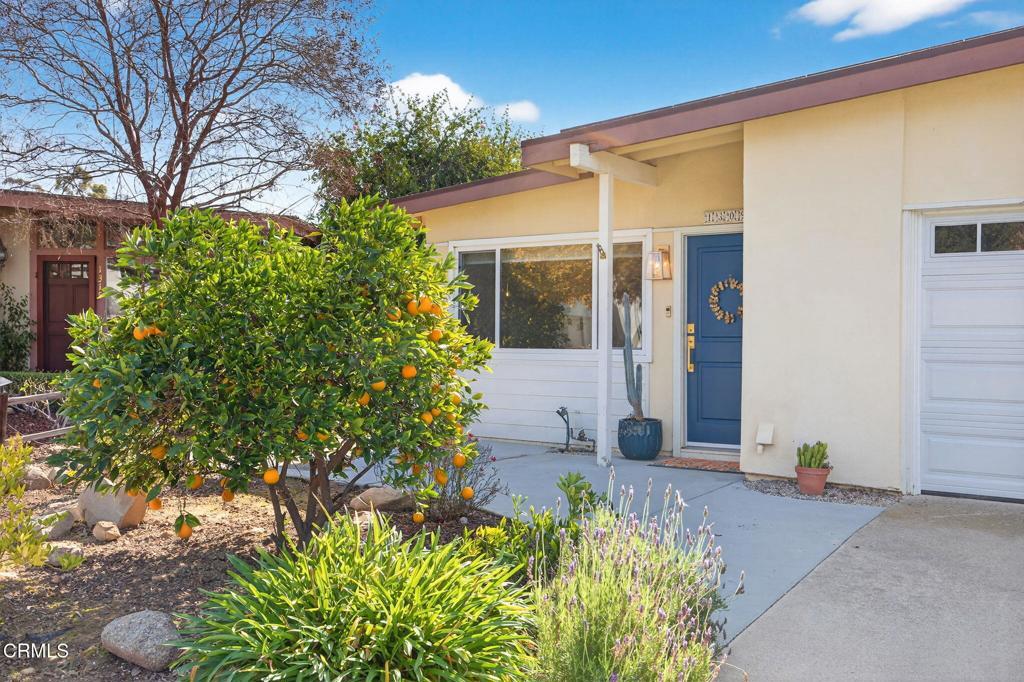 Photo of Listing #V1-34497