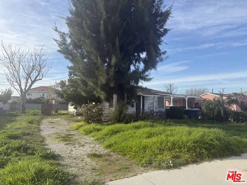 Photo of Listing #26648157