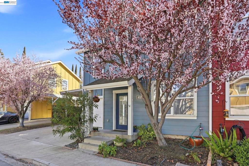 Photo of Listing #41124343