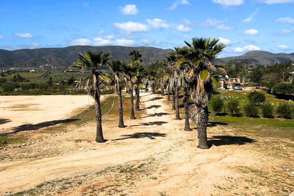 Photo of Listing #PTP2601303