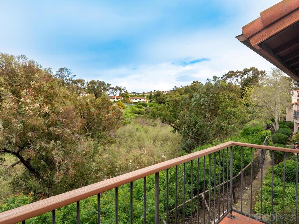 Photo of Listing #260003959SD