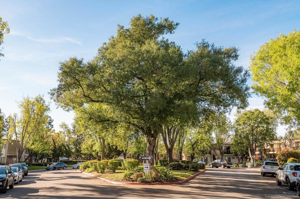 4800 Williamsburg Ln 228, La Mesa