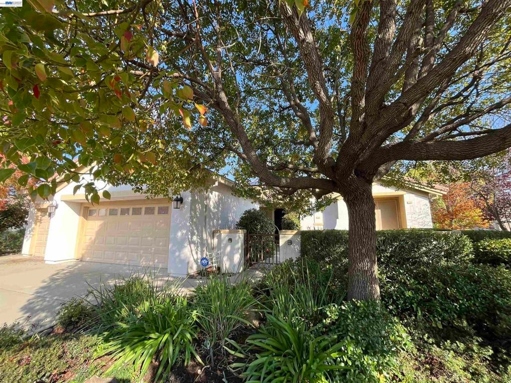 Photo of Listing #41124868