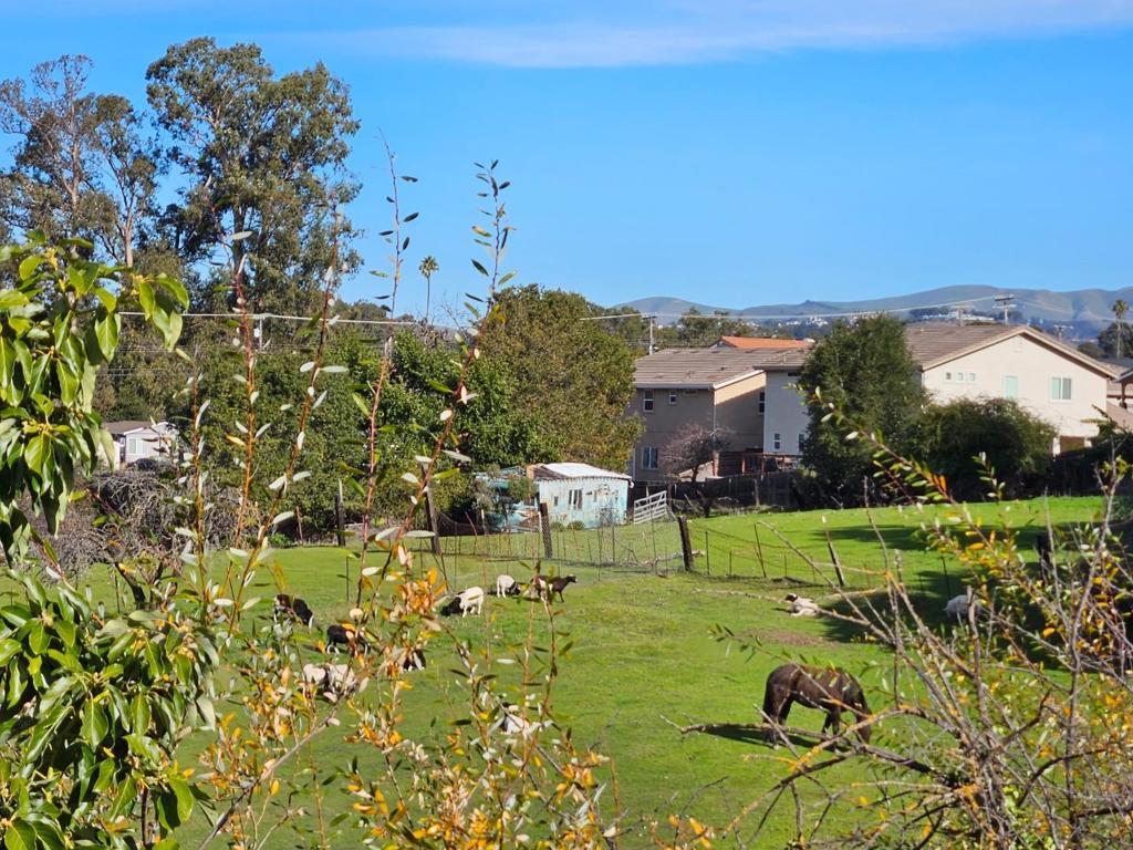 Photo of Listing #ML82032730