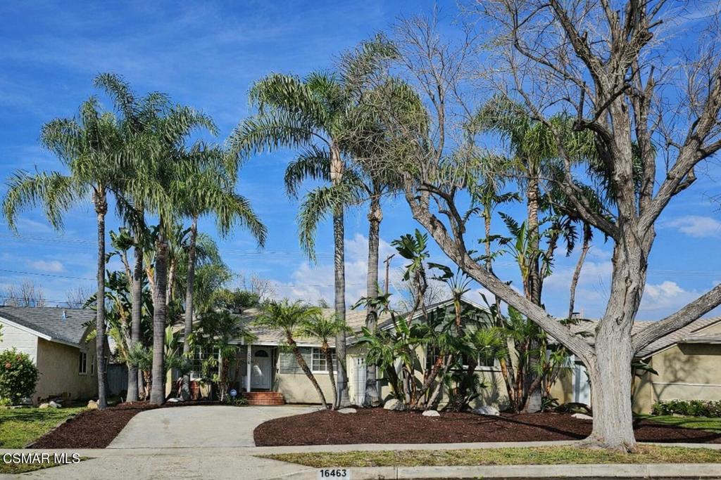 Photo of Listing #226000856