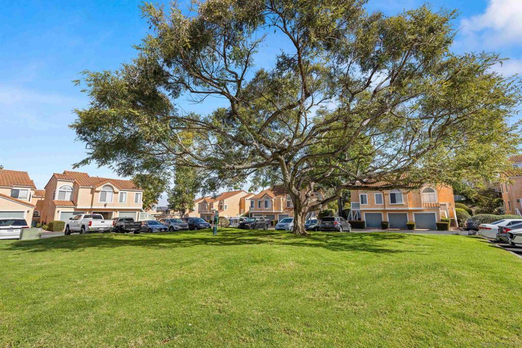 Photo of Listing #260004675SD