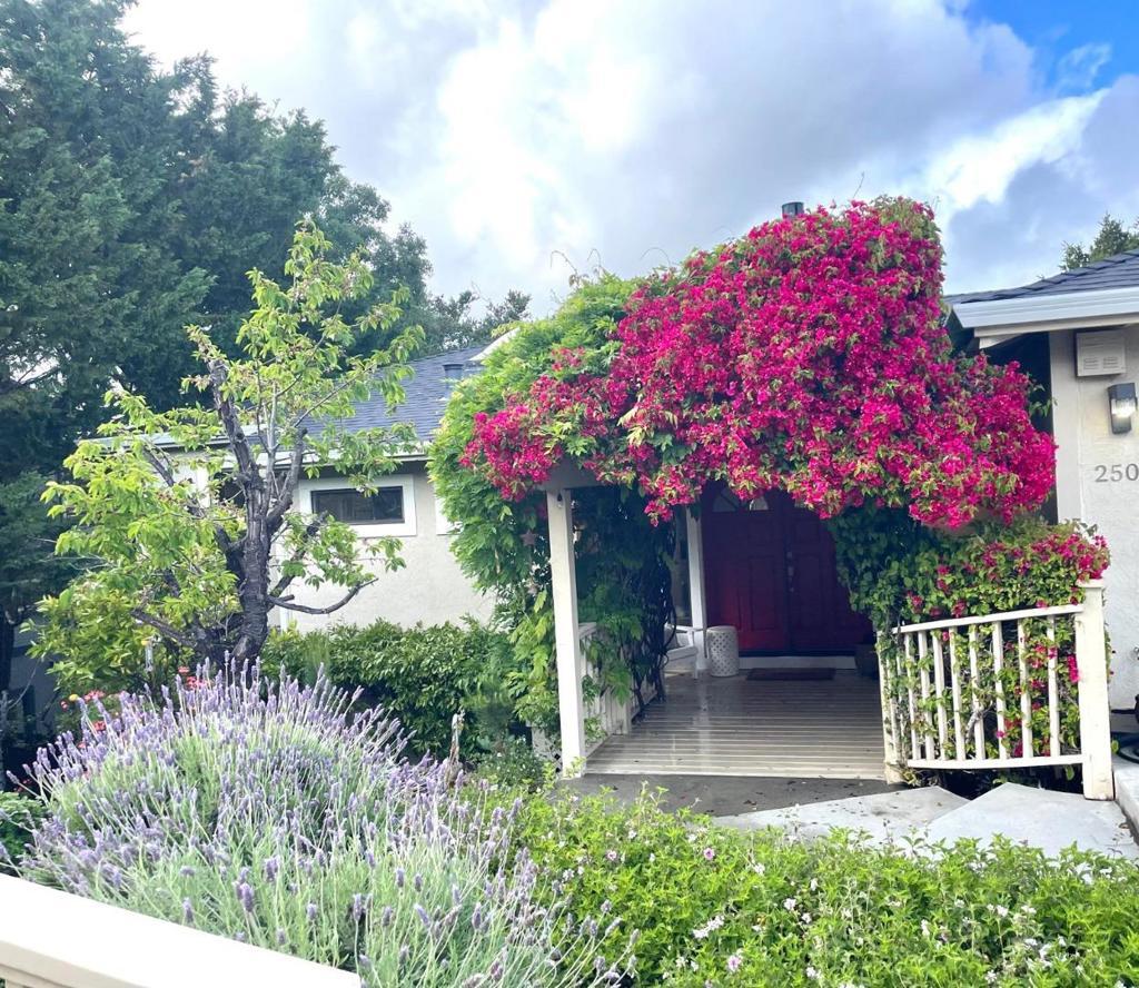 Photo of Listing #ML82036862