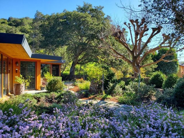 9 Story Road, Carmel Valley