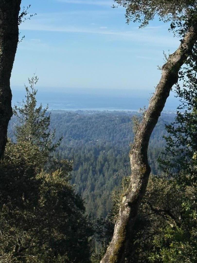 Photo of Listing #ML82037619