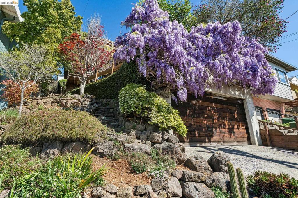 Photo of Listing #41126692