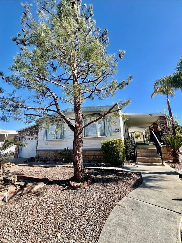 30615 Arenga Palm, Homeland