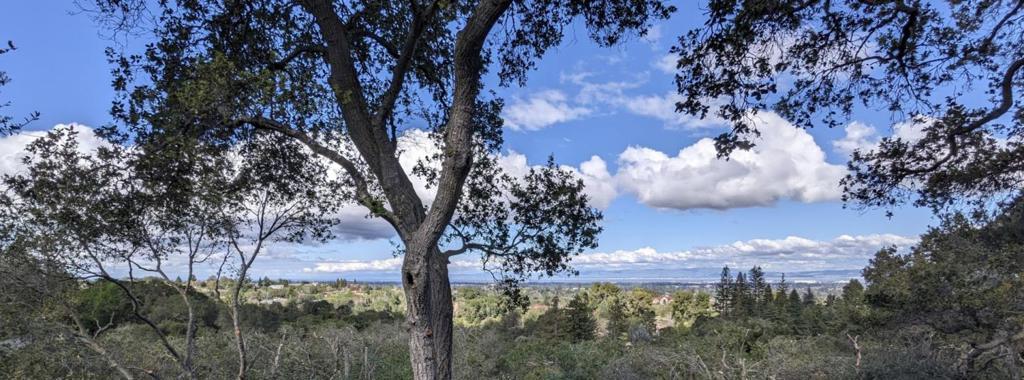 Photo of Listing #ML82038313