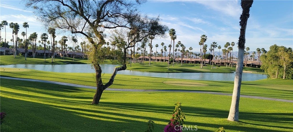 Photo of Listing #PT26050936