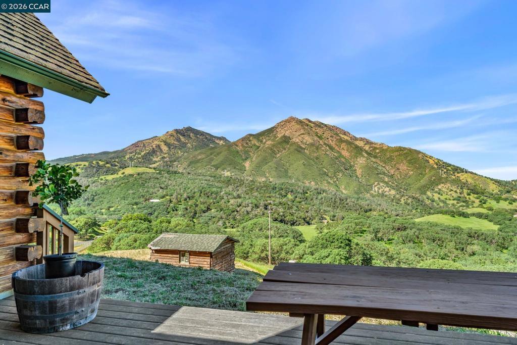 Photo of Listing #41128231