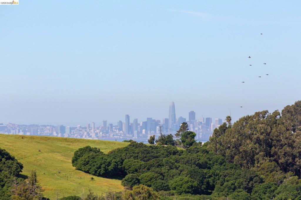 Photo of Listing #41128546