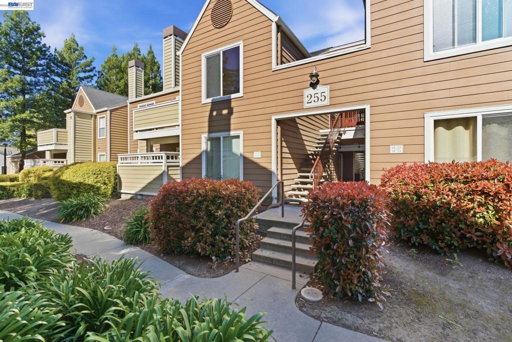 Photo of Listing #41128767