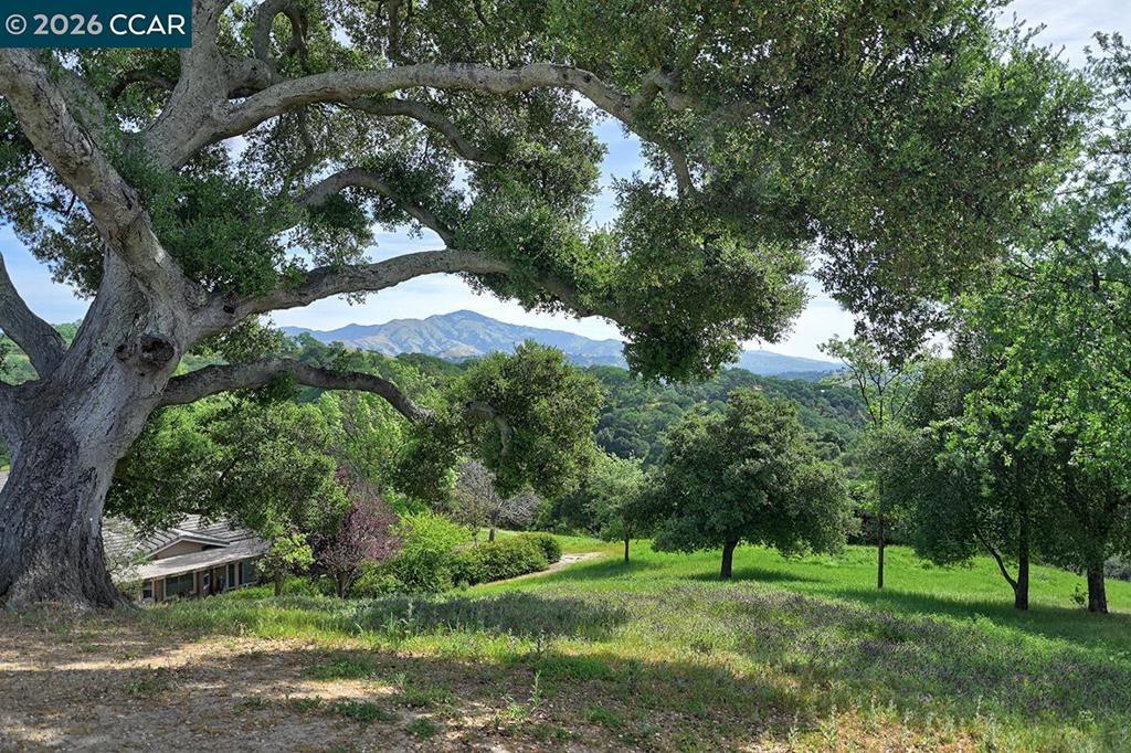 Photo of Listing #41128877