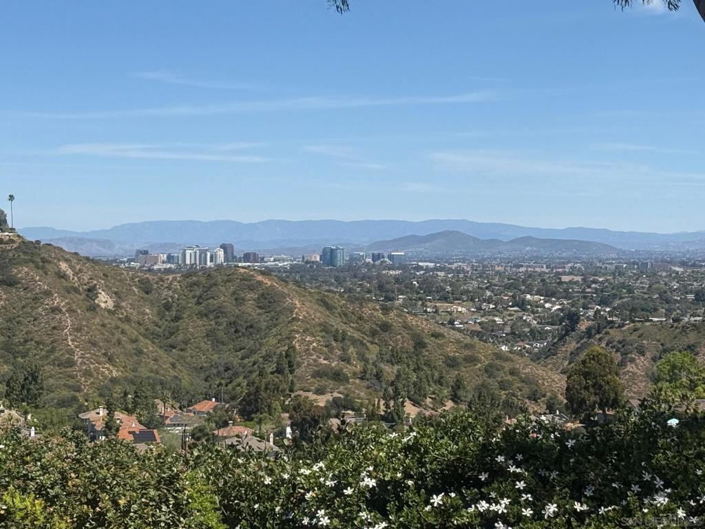 Photo of Listing #260007505SD