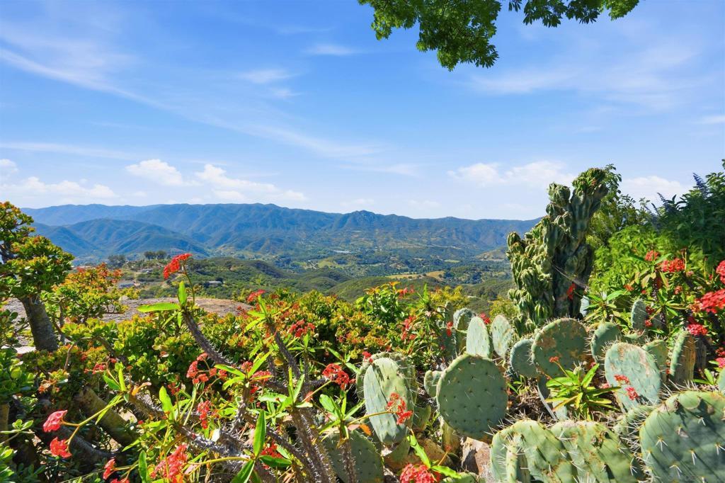 Photo of Listing #260007568SD