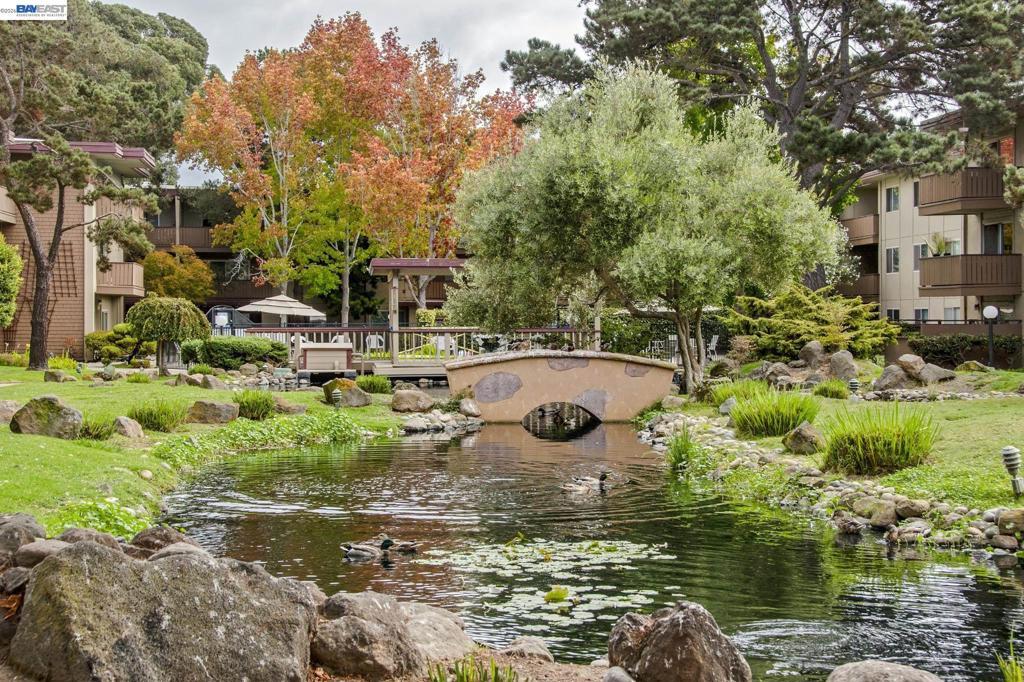 Photo of Listing #41129385