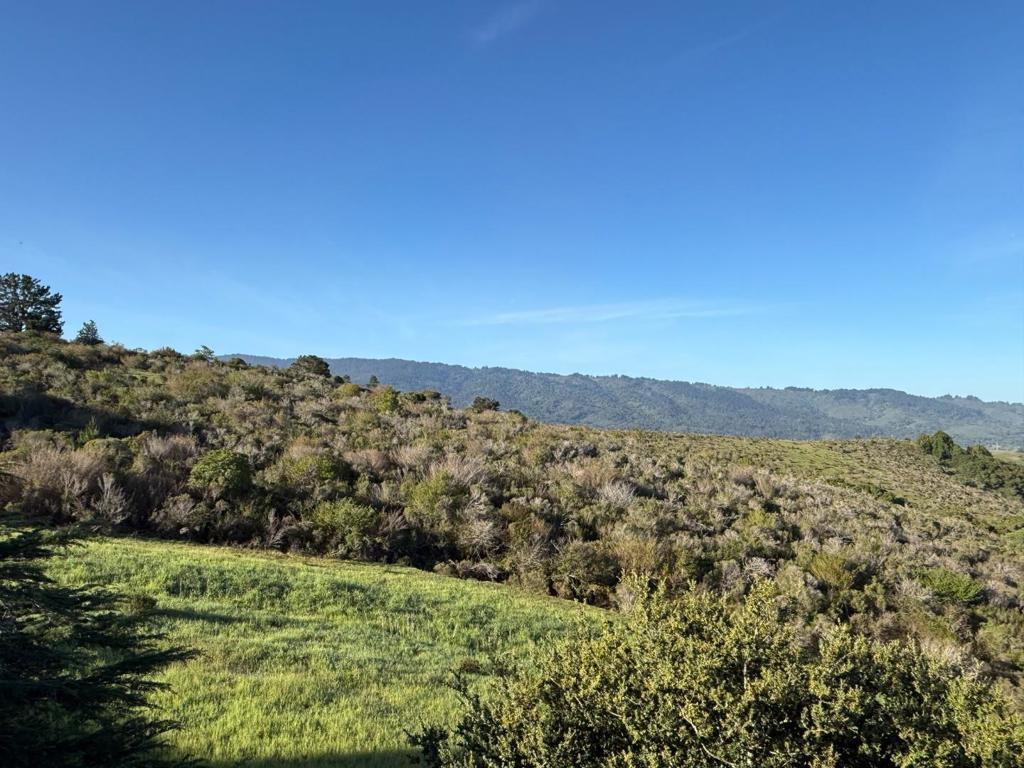 Photo of Listing #ML82039908