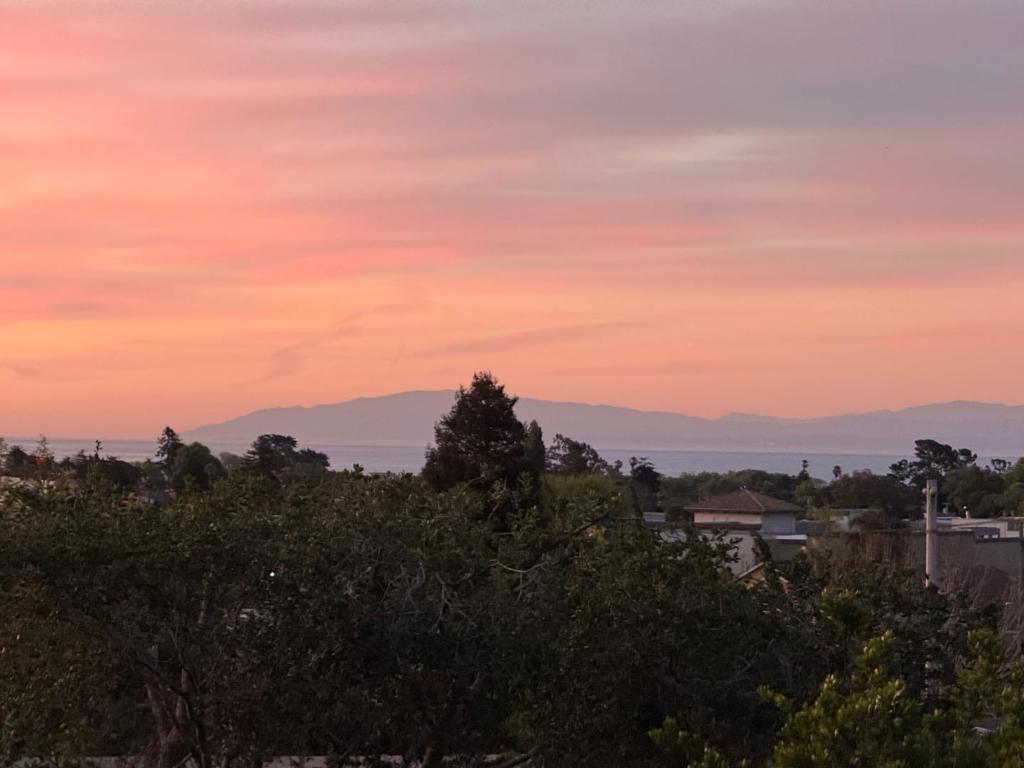 Photo of Listing #ML82029693