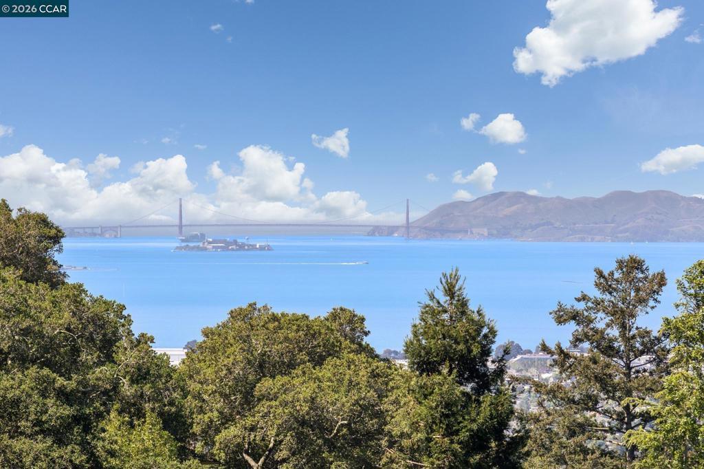 Photo of Listing #41129921