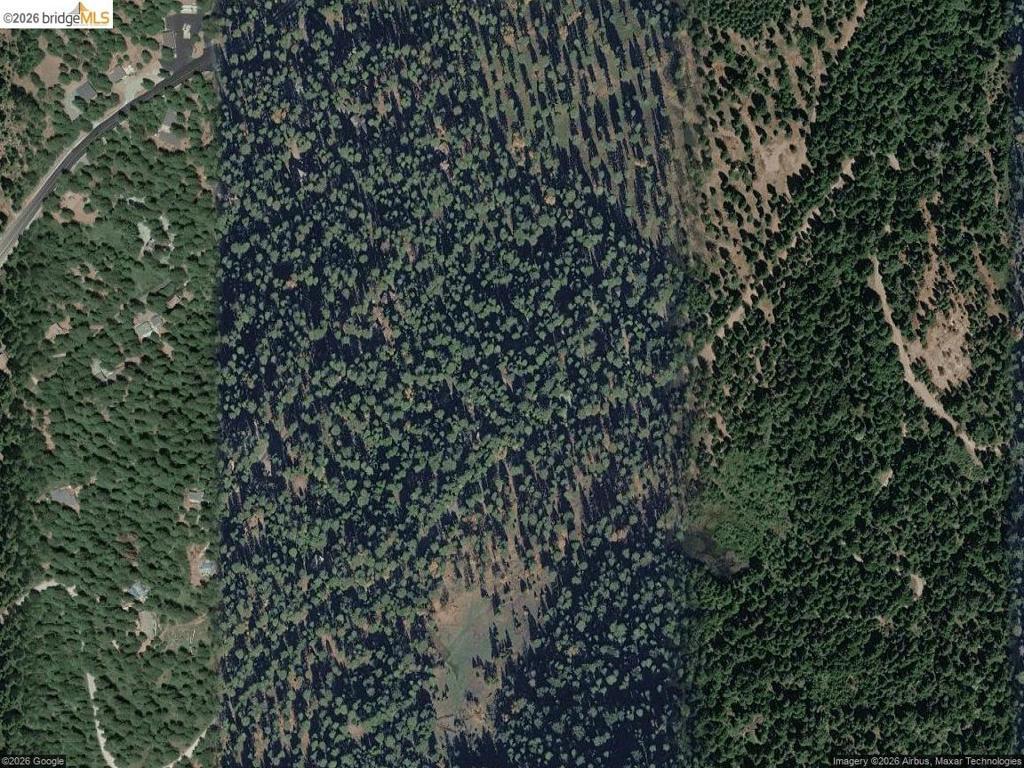 Photo of Listing #41130021