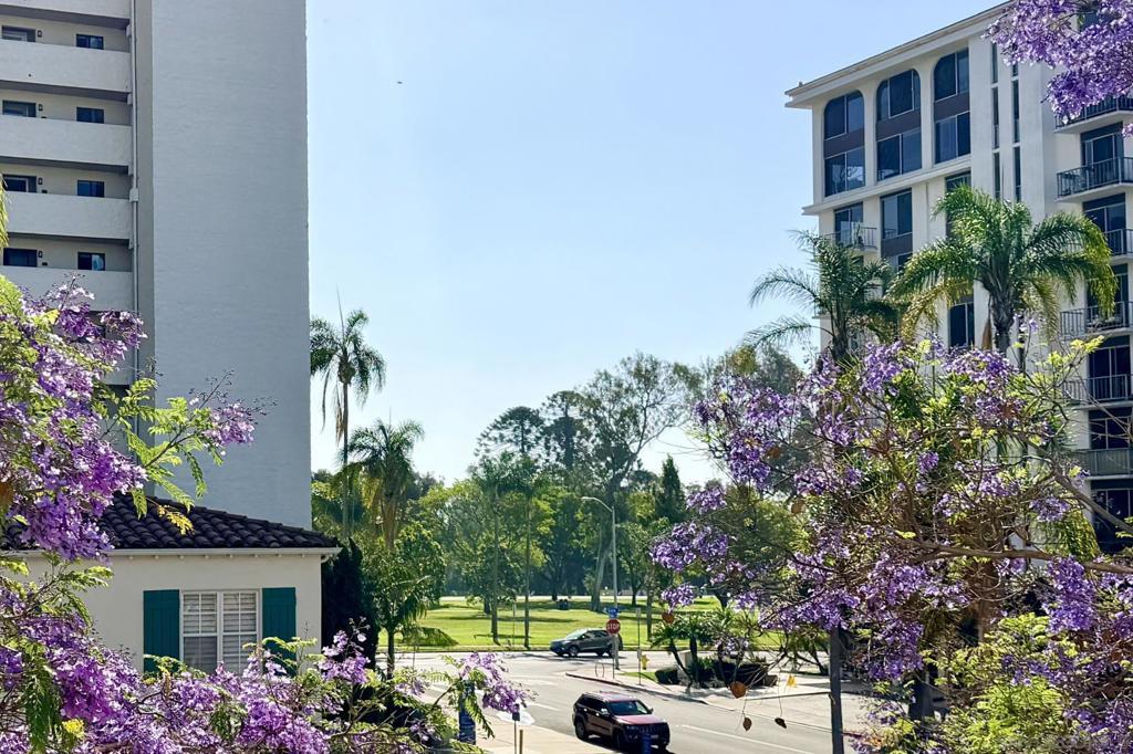 Photo of Listing #260008323SD