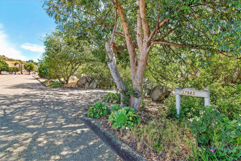 Photo of Listing #PTP2602654