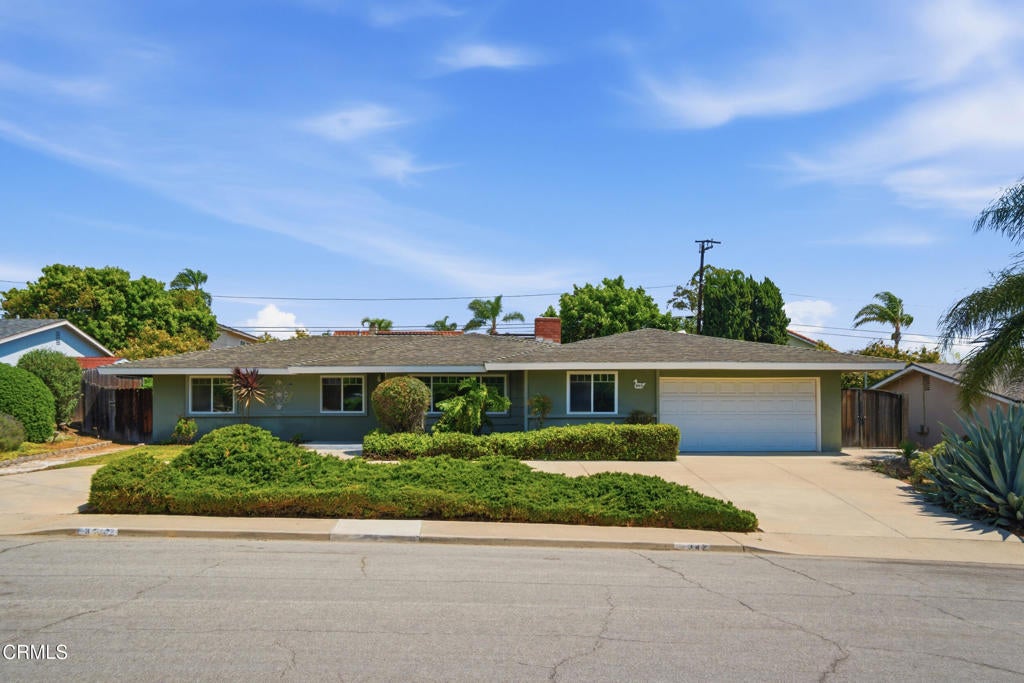 Photo of Listing #V1-35754