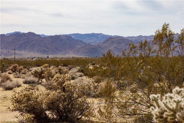 Appian Way, Joshua Tree
