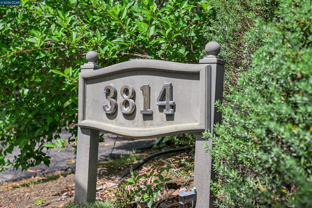 Photo of Listing #41131014