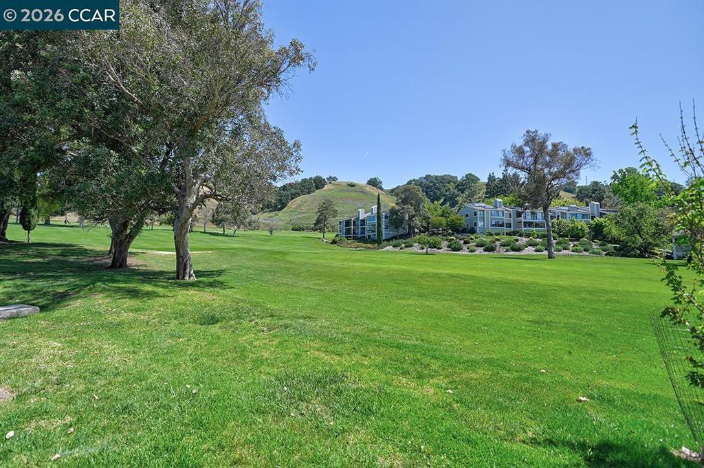 Photo of Listing #41131079