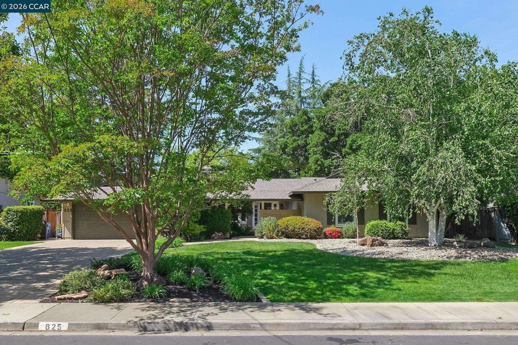 Photo of Listing #41131425