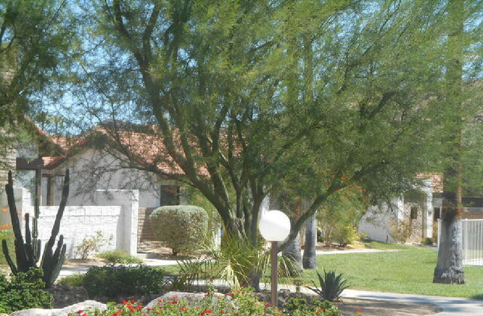 Photo of Listing #219146626PS