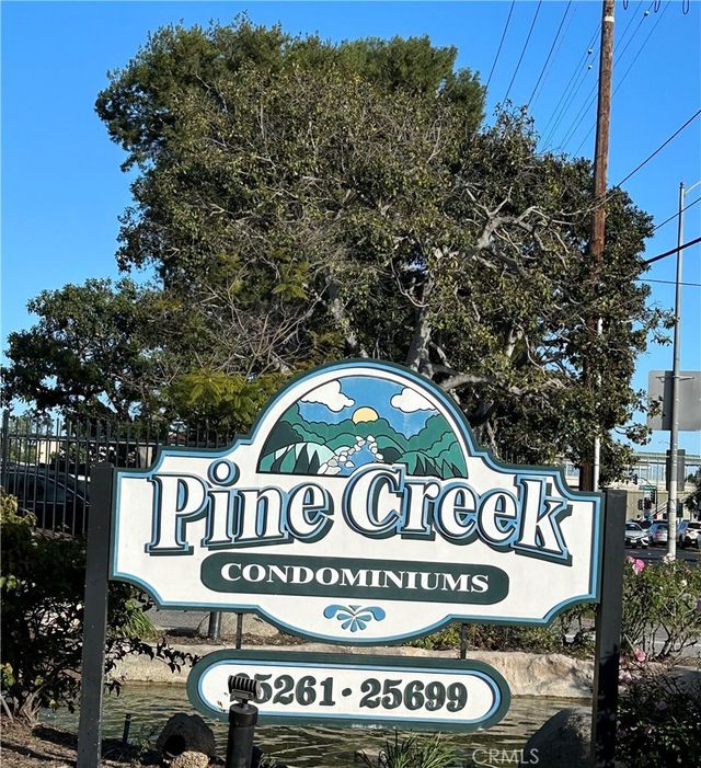 25603 Pine Creek Lane, Wilmington