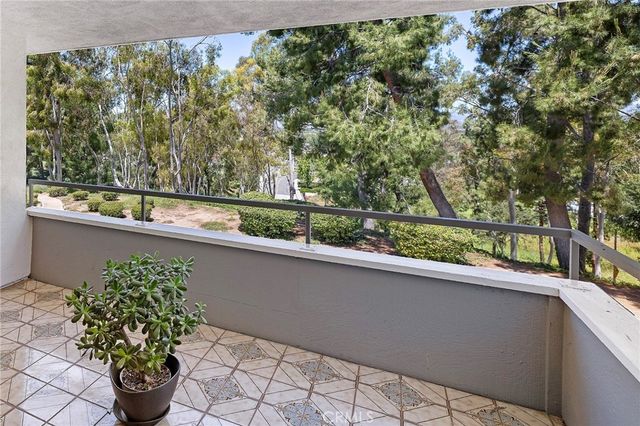 22342 Caminito Escobedo, Laguna Hills