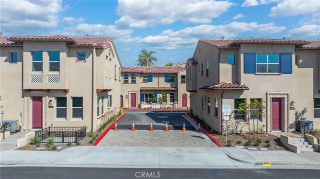 810 Francesca, Walnut