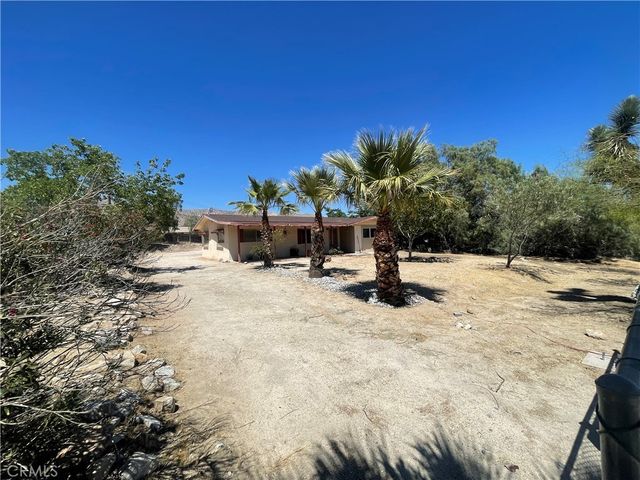 49116 Hibiscus, Morongo Valley