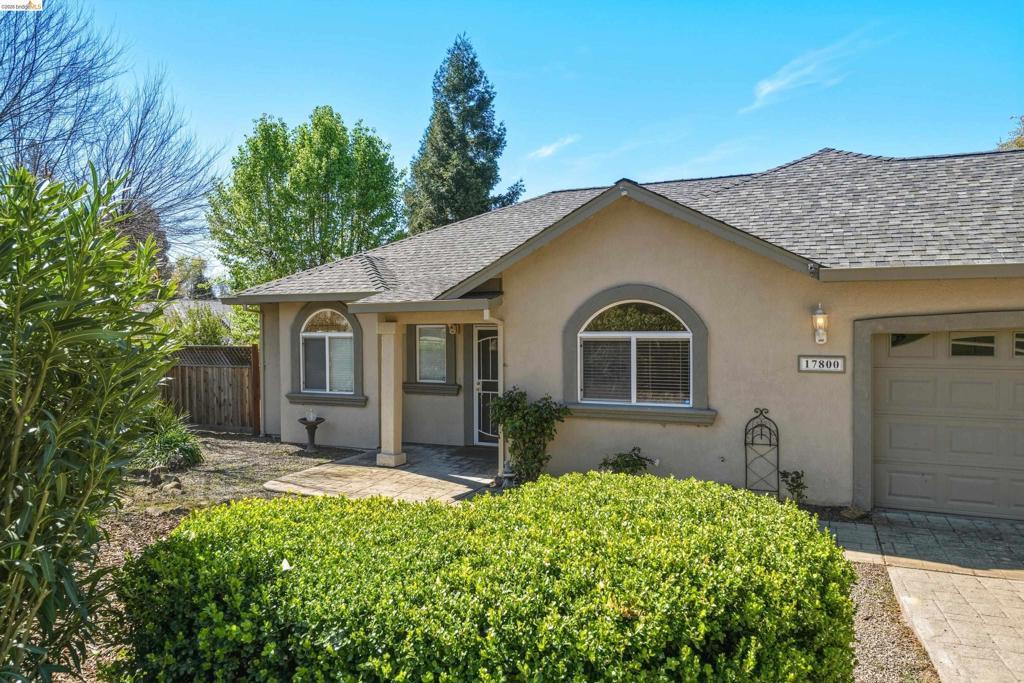 Photo of Listing #41126977