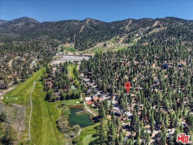 42979 Fern Avenue, Big Bear