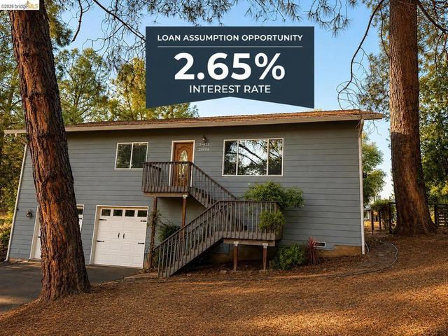 20686 Crest Pine Easement, Groveland