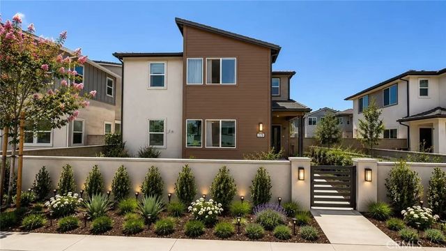 229 Shoveler, Irvine