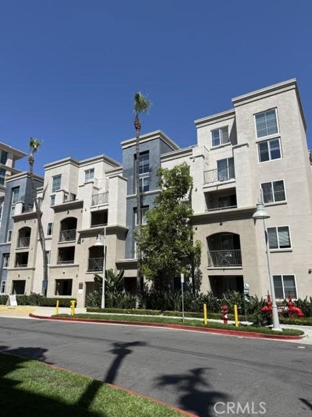 1229 Scholarship, Irvine
