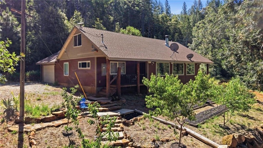 40 White Fir, Oroville