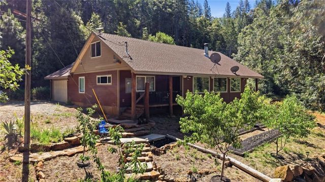 40 White Fir, Oroville