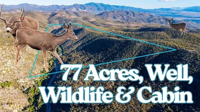 28618 Chihuahua Valley Road, Warner Springs
